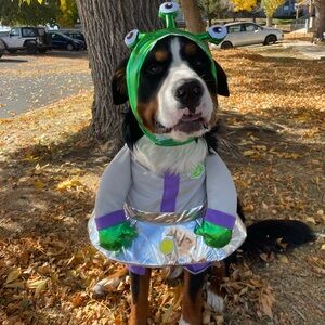 XXL Alien Dog Costume - Green and Silver